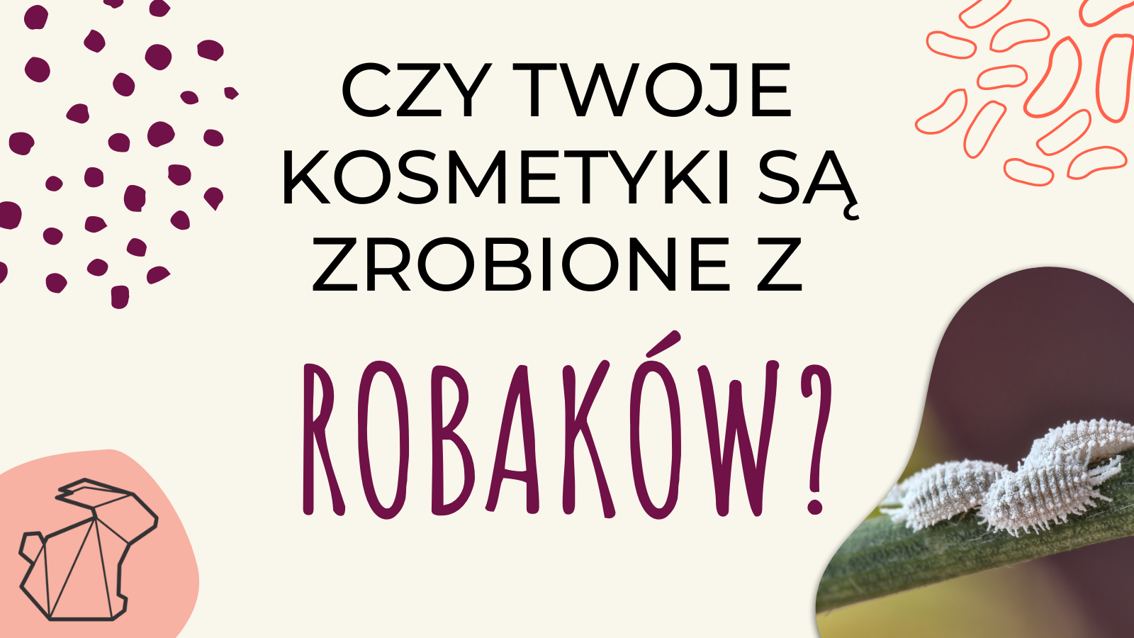 CZY TWOJE KOSMETYKI SĄ ZROBIONE Z ROBAKÓW?