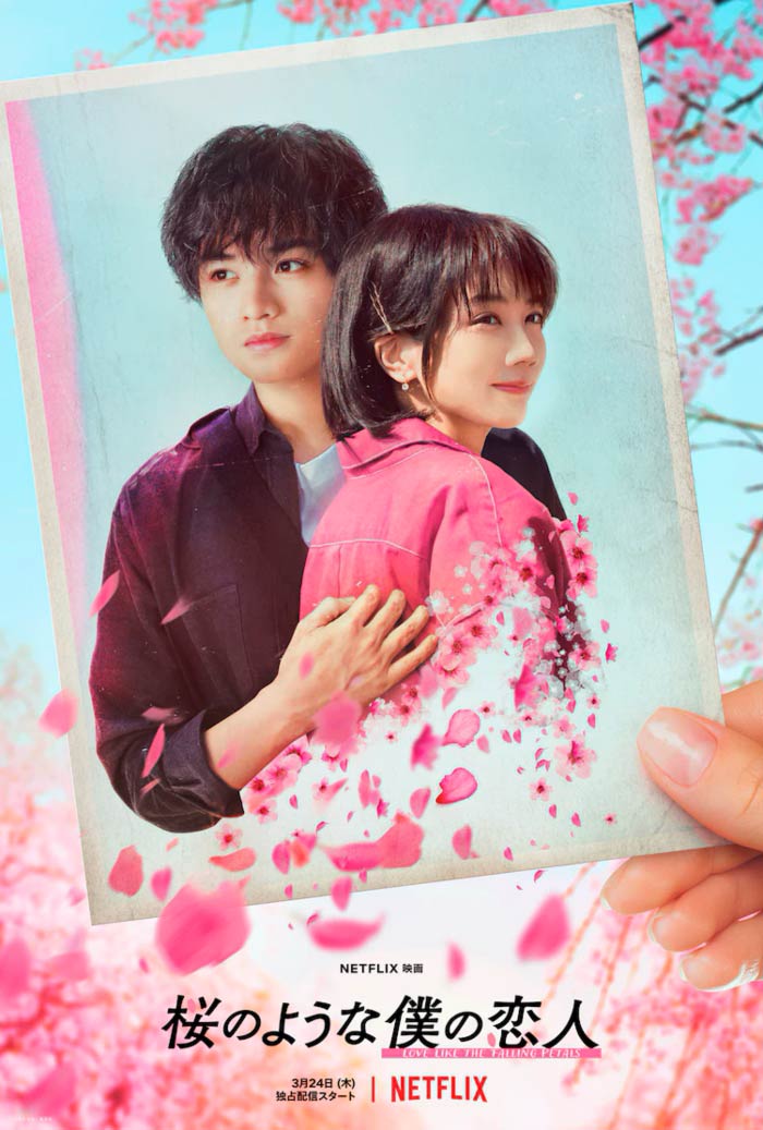 Efímera como la flor del cerezo (Sakura no Yona Boku no Koibito) film - Netflix - poster