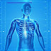 The System Of Human Body