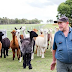 Man, 77, savaged to death by a kangaroo he was ‘keeping as a pet’ which then became ‘violent’ with paramedics