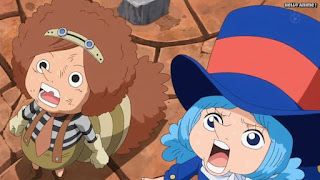 ワンピースアニメ ドレスローザ編 734話小人族 Dwarves トンタッタ王国 Tontatta Kingdom | ONE PIECE Episode 734