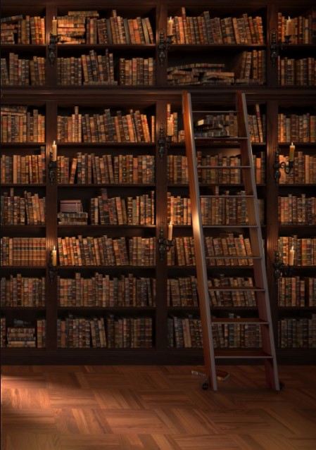 steps for how to arrange books on a bookshelf