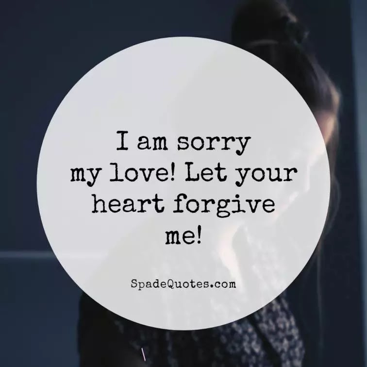 I-am-sorry-Sweet-sorry-messages-for-boyfriend-please-forgive-me-captions-spadequotes