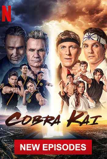 Cobra Kai S04 Complete 480p WEB-DL [Hindi + English] x264