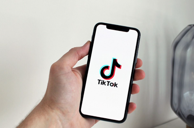 download video tiktok