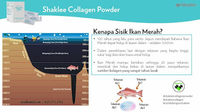 Promosi Januari 2022 Collagen Plus Powder Shaklee Kolagen