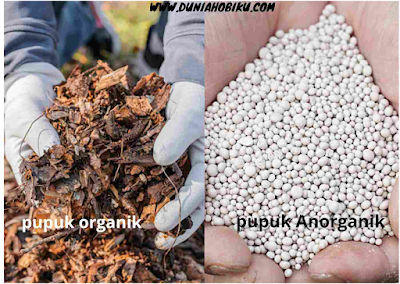 perbedaan pupuk organik dan anorganik