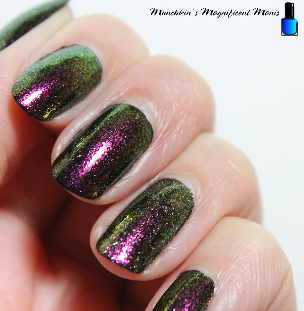 Holo Taco Polar Princess over black