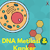 DNA Metilasi & Kanker Nasofaring Karya Aditya Kurniawan