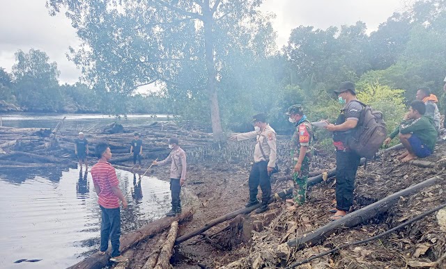 Diseret Buaya, Pekerja Kayu Hilang di Sungai Sebangau