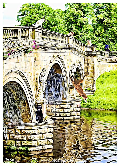 The B Teams Visit To Chatsworth House Selfie ©BionicBasil® Caturday Art Hop