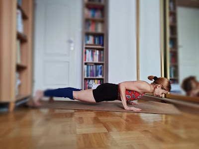 Ashtanga joga powitanie słońca pozucja kija podpartego w czterech miejscach Chaturanga Dandasana