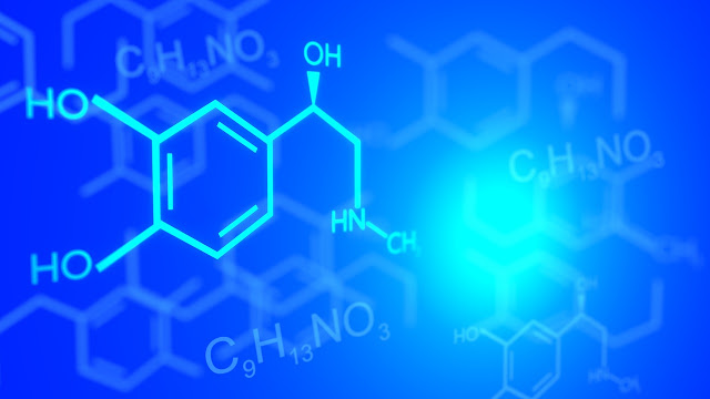 Enzim adalah protein yang dapat mempercepat reaksi metabolisme