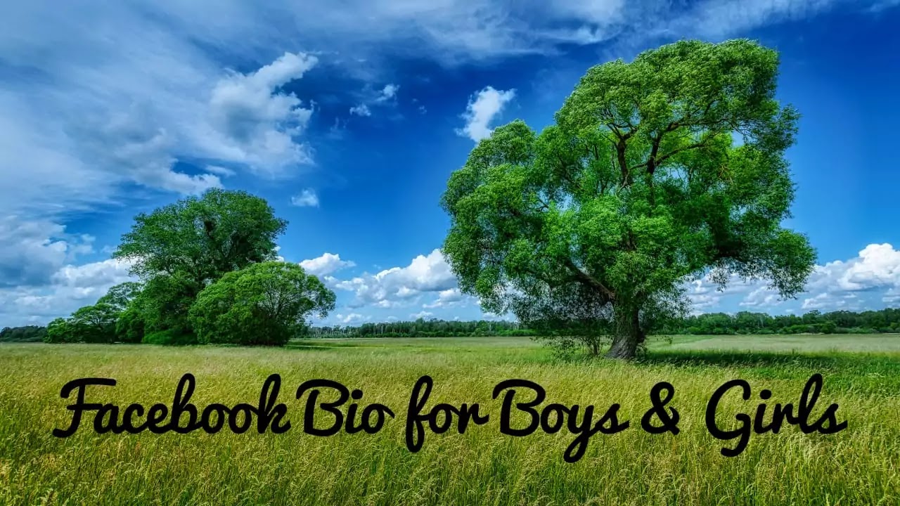 Facebook Bio for Boys,Attitude Facebook Bio for Boys,Stylish Bio for FB for Boy,Attitude Bio For Fb Stylish font,Facebook Bio For Boys in Hindi 2022