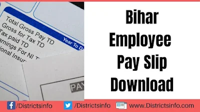 Bihar Employee Pay Slip download