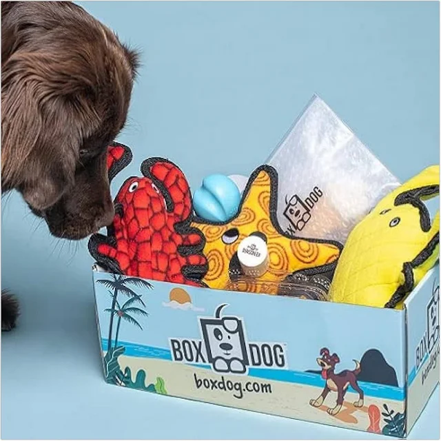 Top Dog Toy Subscription Box Australia