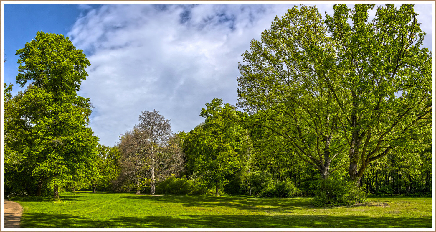                                                   Natur -Berlin