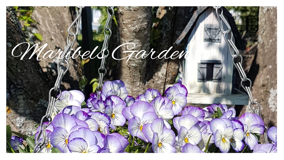 Maribels Garden