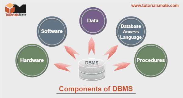 Components of DBMS