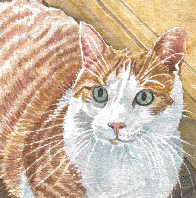 A watercolour of a bicolour (or piebald) orange and white cat, entitled "Moxi," by William Walkington in 2018