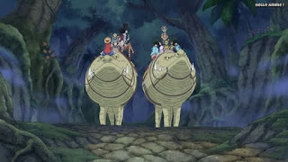 ワンピースアニメ ゾウ編 764話 ワーニー | ONE PIECE Episode 764