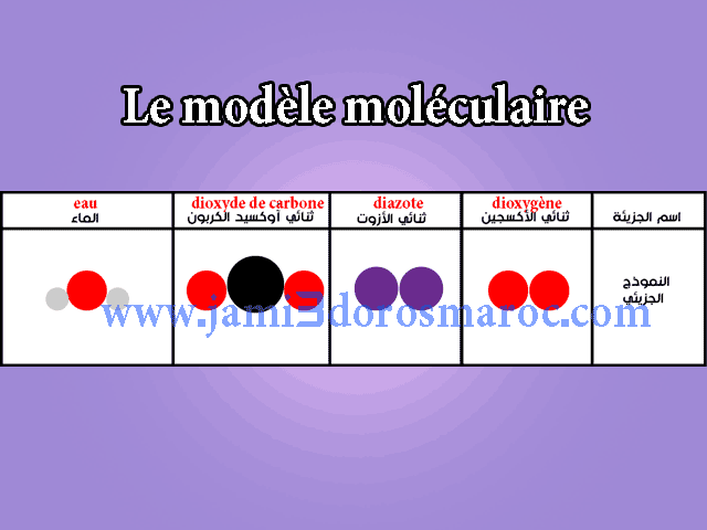 Le modèle moléculaire