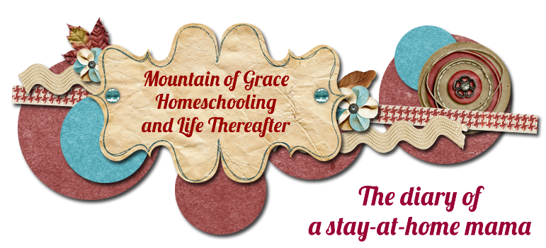 Mountain of Grace Homeschooling and Life Thereafter 