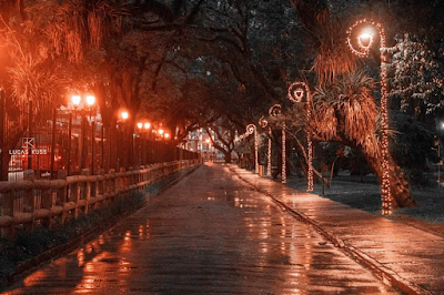Natal de Curitiba 2022 é o mais bonito do Brasil