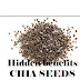 Hidden benefits of Chia seeds | Chia seeds