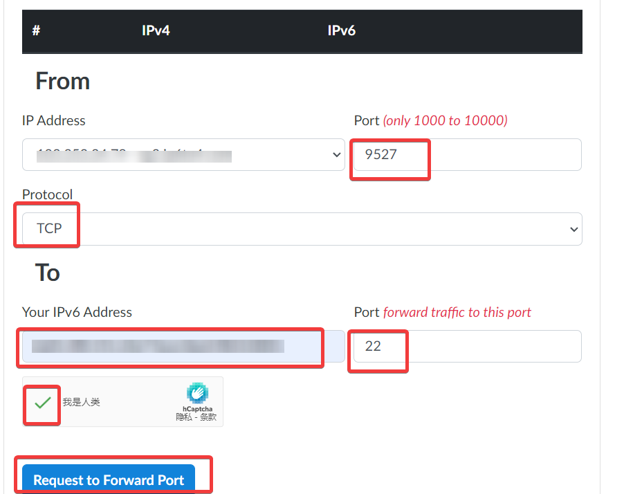 Hax IPv4 IPv6 Gateway 设置