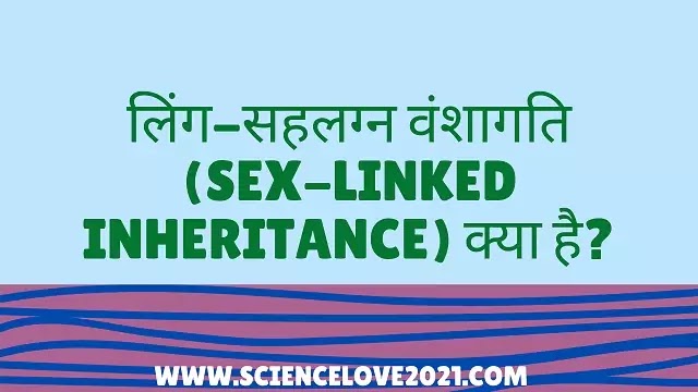 लिंग-सहलग्न वंशागति (Sex-linked Inheritance) क्या है?
