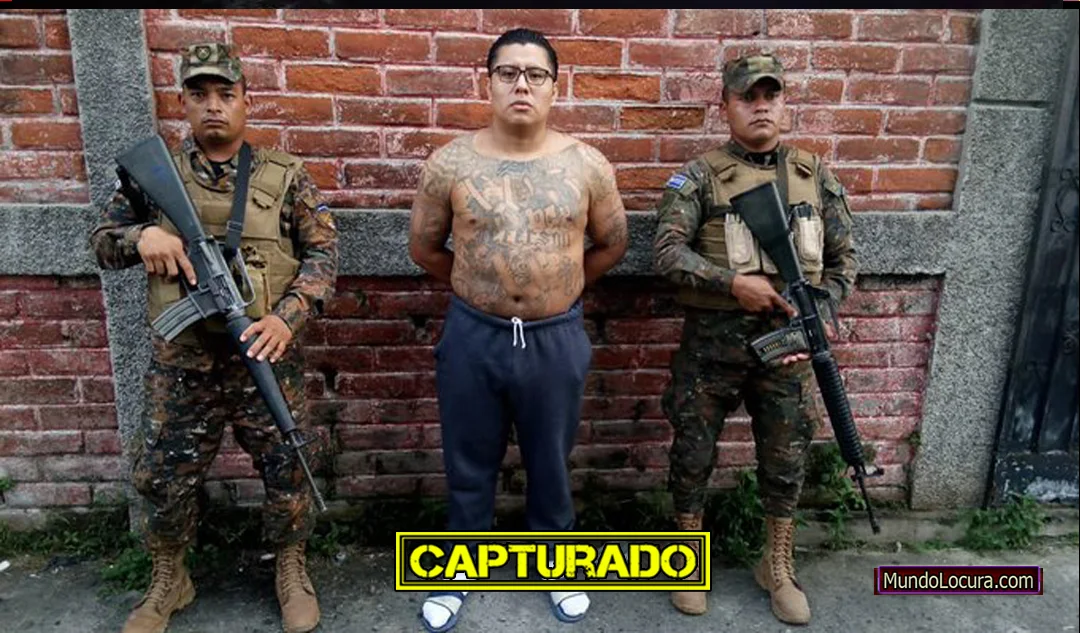 El Salvador: Capturan a pandillero con rango de gatillero en la 18 Sureños alias "Cachorrito" en la colonia El Limón