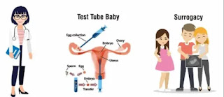 What is the difference between surrogacy and test tube baby?_ ichhori.com