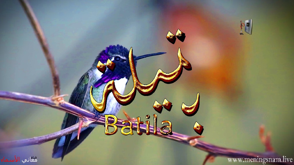 معنى اسم, بتيلة ,وصفات ,حاملة, هذا الاسم, Batila,