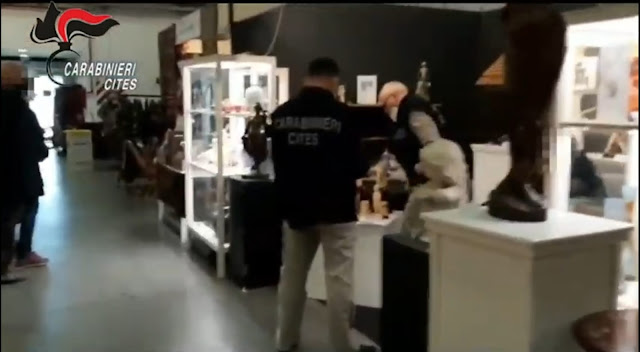 Maxisequestro di oggetti in avorio durante manifestazione "Mercanteinfiera"
