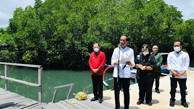 Presiden Ingin Model Rehabilitasi Mangrove di Bali Direplikasi di Provinsi Lain 