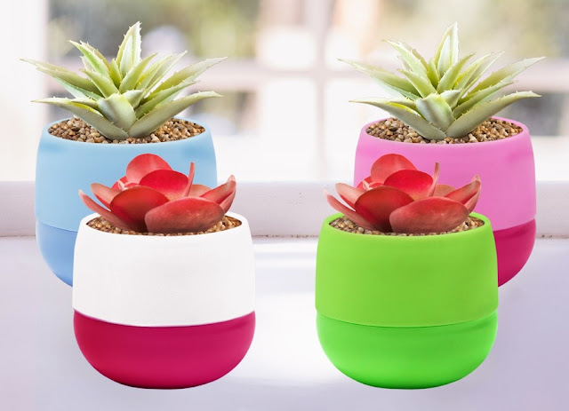 Mini Flower Plant Pots