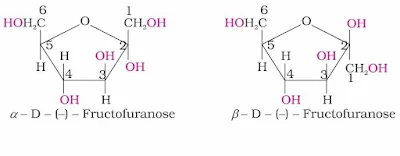 Biomolecules Chemistry Class 12 Notes