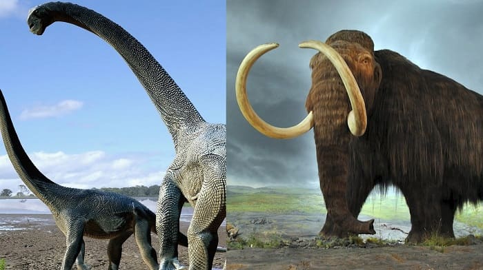 Why Are Dinosaurs Not Alive? How Did Dinosaurs Become Extinct? | Some Amazing Facts About Extinct Animals