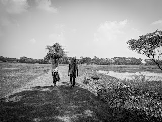 नज़रिया का खेल,Dry-field,#black