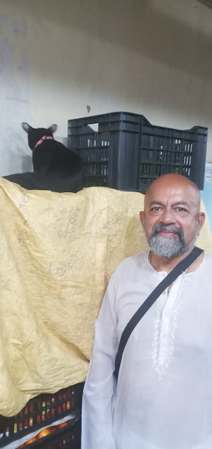 A stroll in Aberdeen Bazaar brought me across this beautiful jet black cat," Peter".