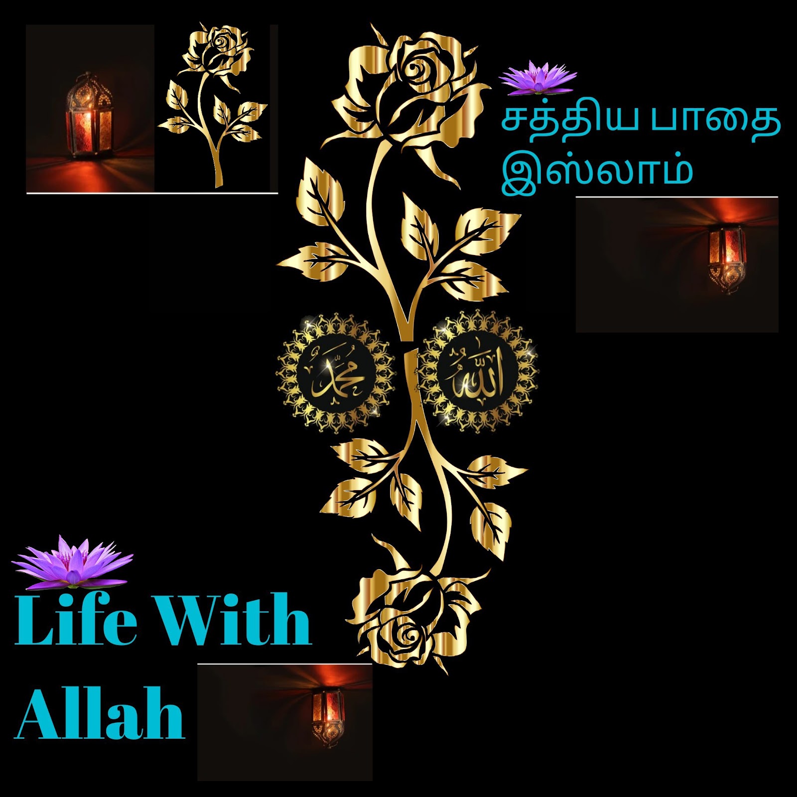 சத்திய பாதை இஸ்லாம் Life With Allah