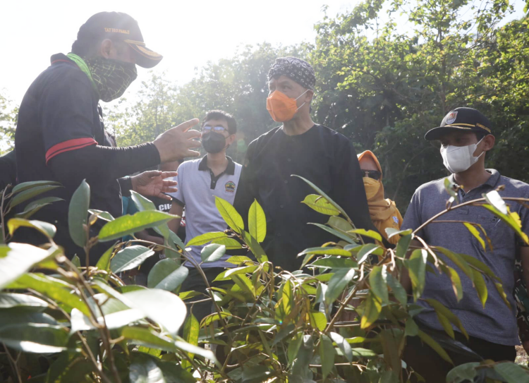 Tanam Ribuan Pohon, Ganjar Himbau Pemangku Jabatan Peka Pada Potensi Bencana Alam