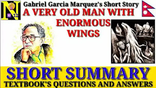 a very old man with enormous wings questions and answers