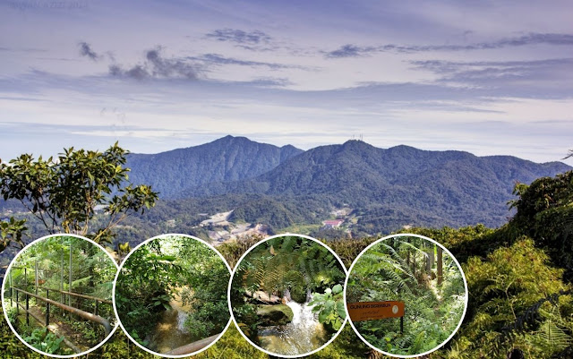 Gunung Berembun Cameron Highlands