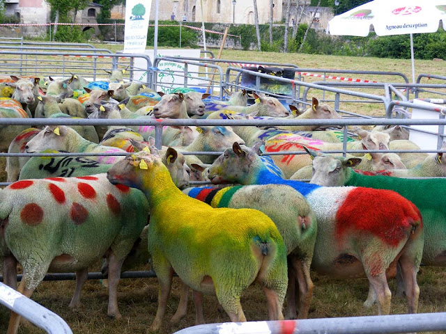 Sheep painted to represent Tour de France cyclists, Vienne, France. Photo by Loire Valley Time Travel.