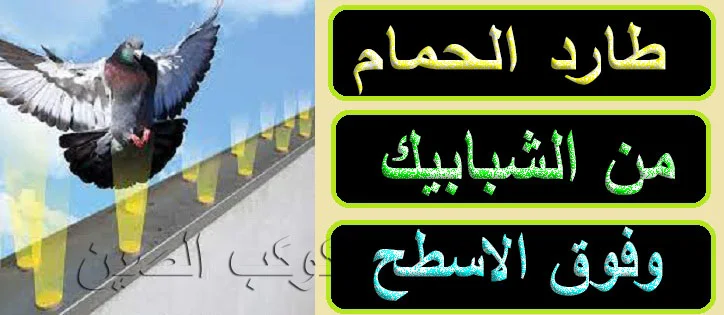 "طرد الحمام من المنزل" "كيفية طرد الحمام من المنزل" "طريقة طرد الحمام من المنزل" "حكم طرد الحمام من المنزل" "جهاز طرد الحمام من المنزل" "طرد الحمام من سطح المنزل" "طرد الحمام من البيت" "طرد الحمام من المنازل" "طرد الحمام من البيت في المنام" "كيفية طرد الحمام من البيت" "كيفية طرد الحمام من المنازل" "كيف طرد الحمام من البيت" "طريقه لطرد الحمام من المنزل" "افضل طريقه لطرد الحمام من المنزل" "ما حكم طرد الحمام من المنزل" "جهاز طرد الحمام من ساكو" "طرد الحمام من الشبابيك" "تفسير حلم طرد الحمام من البيت" "هل يجوز طرد الحمام من البيت" "طرد الحمام من النوافذ" "كيف طرد الحمام من الشبابيك" "طرق طرد الحمام من الشبابيك" "طريقة طرد الحمام من الشبابيك" "كيف يتم طرد الحمام من الشبابيك" "كيف يمكن طرد الحمام من الشبابيك" "طريقة طرد الحمام من النوافذ" "كيف طريقة طرد الحمام من الشبابيك" "طريقة طرد الطيور من المنزل" "طريقه لطرد الحمام من النوافذ" "طريقه لطرد الحمام من الشبابيك" "طريقة طرد الحمام من المكيفات" "افضل طريقة لطرد الحمام من المنزل" "افضل طريقة لطرد الطيور من المزارع" "افضل طريقة لطرد الحمام" "جهاز طرد الحمام ساكو" "جهاز طارد الحمام ساكو" "طرد الحمام عن الشبابيك" "لطرد الحمام من الشبابيك" "لطرد الحمام من النوافذ" "تفسير حلم طرد الحمام" "هل يجوز طرد الحمام من المنزل" "هل يجوز طرد الحمام من الشباك" "هل يجوز طرد الحمام" "كيف تطرد الحمام من الشبابيك" "طريقه ابعاد الحمام من الشبابيك" "طريقة ابعاد الحمام عن النوافذ" "كيفية طرد العصافير من المنزل" "كيفية طرد النمل الطائر من المنزل" "طرد الطيور من المنزل" "طرد العصافير من المنزل" "طريقة ابعاد الحمام من المنزل" "كيفية ابعاد الطيور من المنزل" "طريقة طرد الطيور من النوافذ" "طرد الحمام من المكيفات" "طرد الحمام من المكيف" "طريقة طرد الطيور من المزارع" "افضل طريقة لطرد الطيور" "جهاز طارد الطيور ساكو" "حل لطرد الحمام من الشبابيك" "طرد الطيور من الشبابيك" "لطرد الحمام من المنزل" "طرد الطيور من النوافذ" "كيف تطرد الحمام من المنزل" "طريقة ابعاد الحمام عن الشبابيك" "ابعاد الحمام عن النوافذ" "طريقة ابعاد الحمام عن الشباك" "كيفيه طرد الطيور من المنزل" "كيفية طرد العصافير" "طرق طرد العصافير" "كيفية طرد العصافير من الشجر" "طرد العصافير" "كيفية التخلص من النمل الطائر في المنزل" "كيفية القضاء على النمل الطائر" "كيفية طرد النمل من المنزل" "كيفية طرد النمل من البيت" "طرد العصافير من الحقول" "طريقة ابعاد الحمام عن المنزل" "طرق ابعاد الحمام عن المنزل" "كيفية ابعاد الحمام عن المنزل" "طريقة ابعاد الحمام عن البيت" "كيفية ابعاد الطيور عن المنزل"