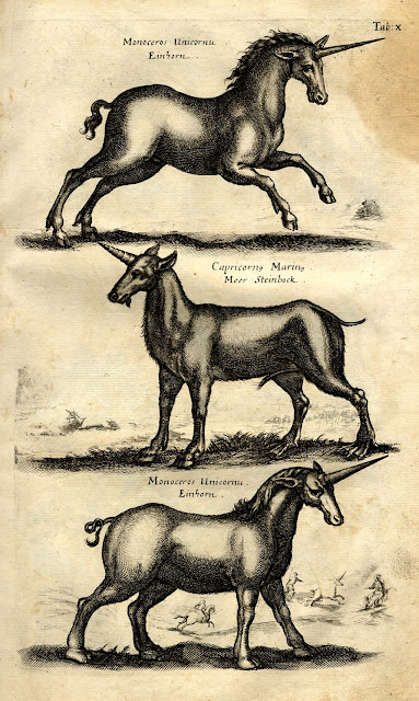 Jonston, Jan: Historiae Naturalis De Quadrupedibus Libri