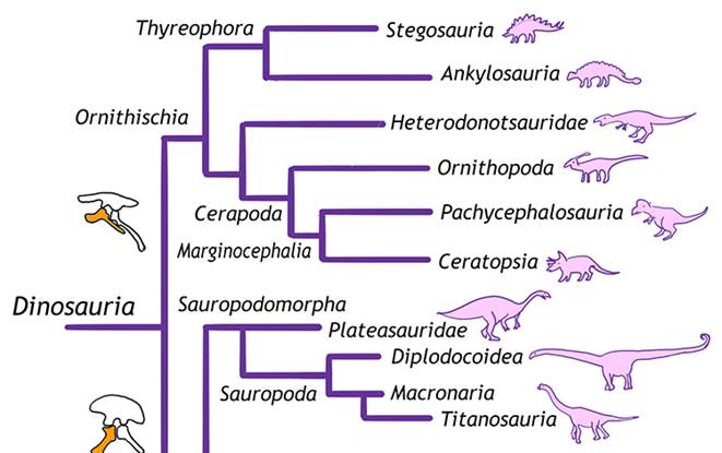 Dinosaur Classification – Historical Geology
