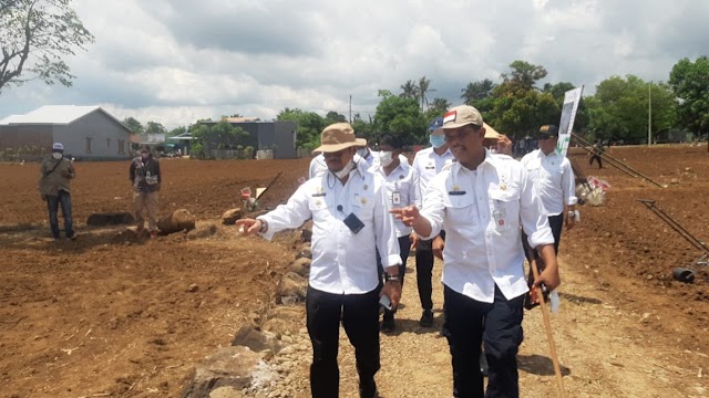 Kementan Perkuat Stok Jagung Nasional di Sentra Produksi  